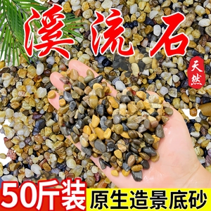 50斤天然鹅卵石溪流石鱼缸铺底造景砂水箱沼泽过滤小石子原生豆石