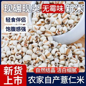 新鲜薏米仁新米薏苡仁新货农家自产小糯意米炒熟红豆杂粮薏仁米茶