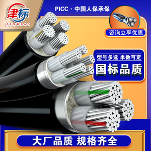 国标铝芯电缆线345芯 25 35 50 70 95 120平方铝线电线铝电缆户外