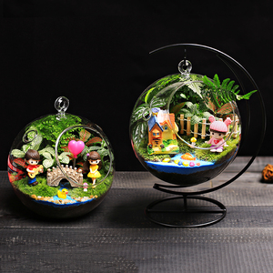 16c苔藓微景观生态双孔吊瓶月亮架DIY材料包桌面迷你绿植物小盆栽