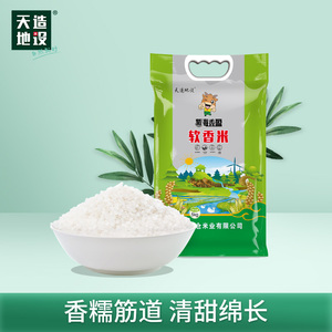 天造地设软香米5kg2023新米上市10斤南通江苏大米香粳米软香米