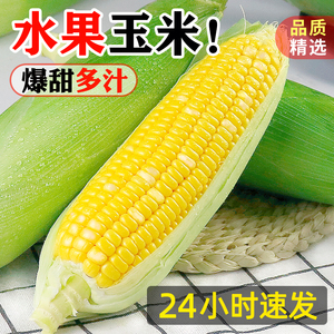 水果玉米新鲜10斤包邮黄玉米棒生吃嫩苞谷整箱广西现摘蔬菜甜玉米