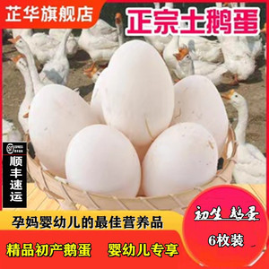 顺丰包邮6枚农家散养土鹅蛋新鲜孕妇正宗鹅蛋非双黄鲜鹅蛋