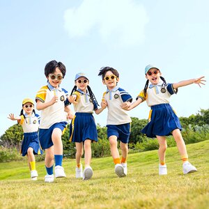 小学生校服班级薄款衬衣白t学院风T恤新款英伦风一年级长袖夏天