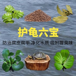 养乌龟专用缸龙眼木晒台爬坡躲避窝净化水质水草绿植造景摆件用品