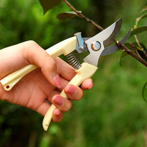 不锈钢修剪树枝采摘水果花木剪园林果树花卉枝嫁接园艺剪刀工具