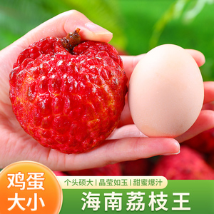 海南荔枝王5斤新鲜水果当季整箱包邮时令孕妇妃子荔枝笑早熟荔枝3