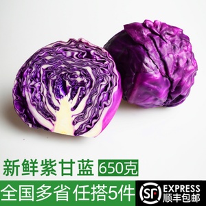 新鲜紫甘蓝650g 紫包菜球紫色红椰菜 西餐蔬菜轻食沙拉生菜食材