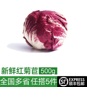 红菊苣500g 落地红球生菜新鲜蔬菜沙拉食材 西餐配菜 紫苣