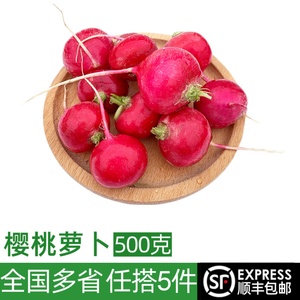 新鲜樱桃萝卜500g 迷你小红萝卜水果萝卜 圆萝卜生吃蔬菜沙拉食材