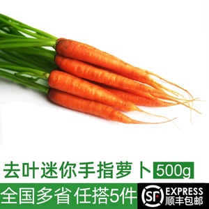 去叶手指胡萝卜500g 迷你水果小胡萝卜新鲜西餐蔬菜 沙拉食材
