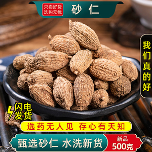 砂仁中药材500g砂仁香料毛砂仁干果可砂仁粉卤水炖肉香料大全砂仁