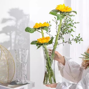 创意大号圆口玻璃花瓶透明水养富贵竹百合鲜花插花瓶家用客厅摆件