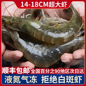 大连渤海湾大虾 非进口白虾海捕海虾鲜活速冻海鲜水产青虾净重4斤