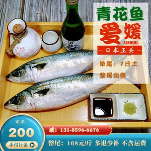 海鲜鲭鱼刺身 海鲜鲭鱼刺身品牌 价格 阿里巴巴 海鲜鲭鱼刺身 海鲜鲭鱼刺身品牌 价格 阿里巴巴