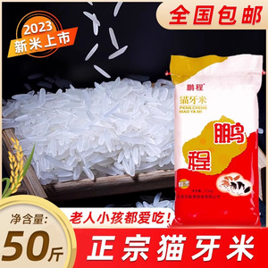正宗猫牙米长粒香大米50斤2023年新米南方农家丝苗米籼米20斤商用