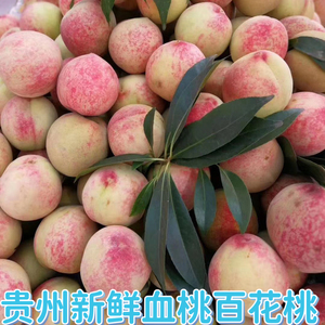 贵州特产新鲜水果四月桃子血桃脱骨桃毛桃水蜜百花桃鲜果500g包邮