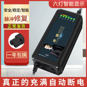 本铃自动关机智能电动车电瓶充电器48V12AH60V20AH72V30A通用款