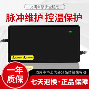 绿驹电动车电瓶充电器48V12AH20AH60V72V30A原装正品电车三轮通用