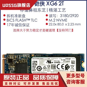 铠侠 XG6 XG8 XG7 2T 4T M.2 4.0 NVME 2280  固态硬盘