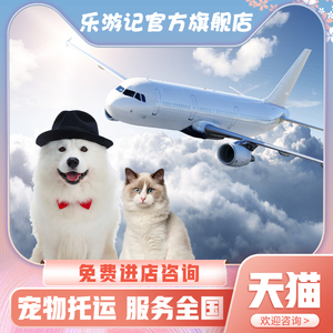 宠物托运服务全国猫咪狗北京上海广州深圳香港澳门国际空运输专车