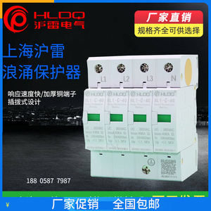 上海沪雷浪涌保护器防雷家用HL1-C-40电源开关避雷器4P模块2P二级