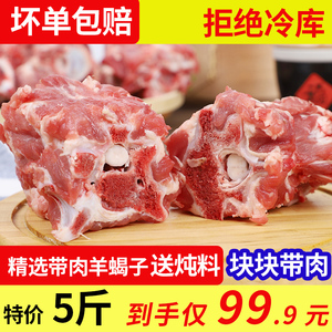 羊蝎子新鲜多肉5斤国产草原羔羊脊椎骨带肉火锅烧烤生鲜羊肉食材