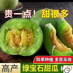 绿宝石甜瓜种子超甜薄皮香瓜冰糖春季四季脆瓜高青皮产香瓜籽