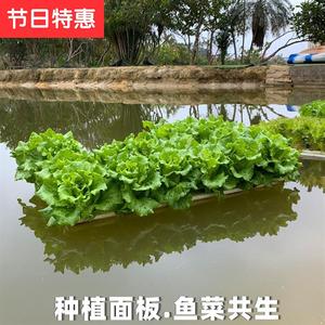 无土栽培水槽 无土栽培水槽品牌 价格 阿里巴巴