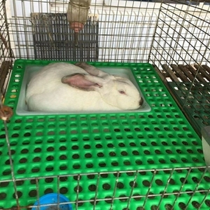 母兔产仔窝兔子产箱兔笼产箱生产窝兔用产仔箱塑料包边内置防啃咬