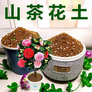 山茶花专用土大型花卉通用型营养土大颗老桩养花换盆种植土壤现配