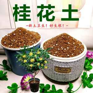 桂花专用土大型绿植树苗通用型营养土花卉种植土壤弱酸性花泥现配