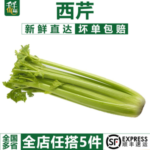 【千牛优福】西芹1000g 新鲜蔬菜大芹菜洋芹菜 西餐配菜 榨汁蔬菜