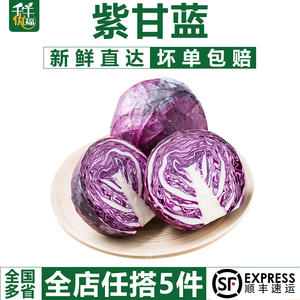 【千牛优福】紫甘蓝650g紫包菜紫色球生菜红紫椰菜新鲜沙拉食材