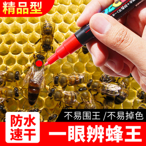 蜂王记号笔蜜蜂育王标记笔防水速干不掉色蜜蜂养蜂专用工具大全