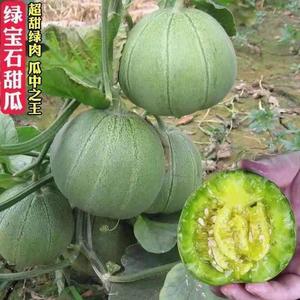 绿宝石日本甜宝王甜瓜种子高产甜早熟四季播薄皮香瓜水果种子种