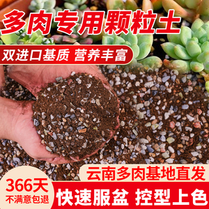 多肉土颗粒土专用营养土肉肉植物种植土壤铺面石叶插云南基地包邮