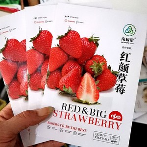 白雪公主白草莓种籽 河北南极星种业可生吃可观赏红颜红草莓种孑