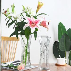 富贵竹花瓶插花家用胶塑料玻璃透明的养观音转运水竹放绿箩水