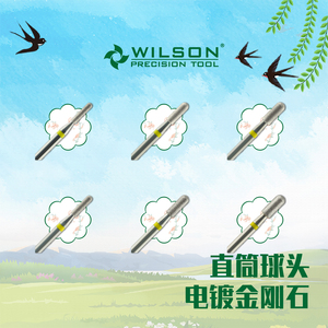 WILSON惠而顺直筒球头XF-加细 电镀金刚石俄式前置处理美甲磨头