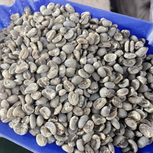 星湖（微批次）-曼特宁24年新产季的印度尼西亚咖啡生豆铁皮卡种