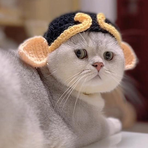 搞怪猫咪猪八戒头套可爱搞笑宠物毛线编织帽子变装帽狗狗头饰装扮
