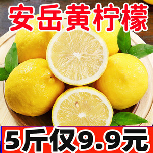 四川安岳黄柠檬新鲜水果皮薄一级当季香水柠檬奶茶店专用商用9斤