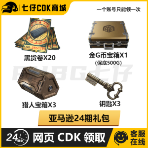 PUBG绝地求生皮肤亚马逊24期礼包黑货票卷猎人黄金G币宝箱钥匙