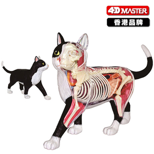 动物结构解剖 淘宝拼多多热销动物结构解剖货源拿货 阿里巴巴货源