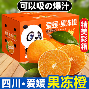 正宗四川爱媛38号果冻橙新鲜特大果10斤当季水果整箱手剥甜橙顺丰