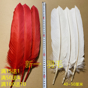 弓箭箭羽毛天然大羽毛弓箭节用品DIY羽毛材料影视拍摄羽毛道具