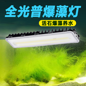 海水鱼缸活石爆藻灯led照明海缸灯珊瑚大功率海水软体LPS fot补光