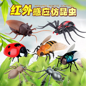 电动独角仙玩具 淘宝拼多多热销电动独角仙玩具货源拿货 阿里巴巴货源 电动独角仙玩具 淘宝拼多多热销电动独角仙玩具货源拿货 阿里巴巴货源