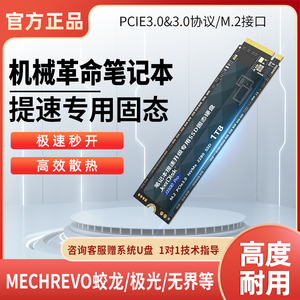 机械革命笔记本固态硬盘1TB极光蛟龙加装NVME协议M2高速PCie3电脑